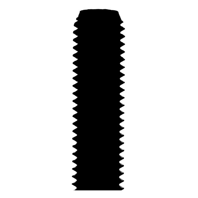 1/4-28 X 3/8 Inch Allen Bolt Chr.
