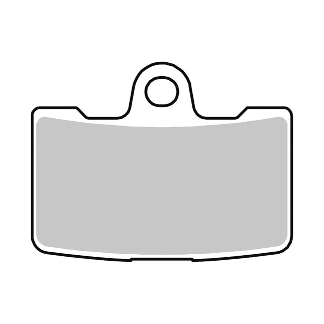 Trw Brake Pads Front, Sintered for 2008 Buell 1125R