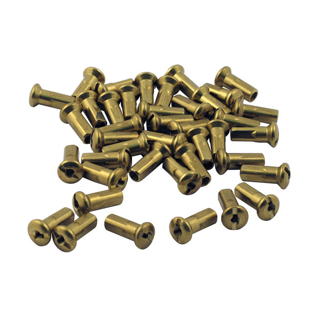Tts Spoke Nipples, Brass