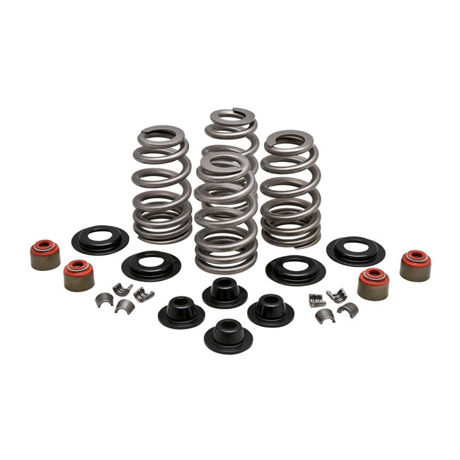 Kpmi, Beehive Valve Spring Kit. Steel. .610" Lift for 05-17Twin Cam; 04-20 XL; 08-12XR1200; 03-10Buell Xb
