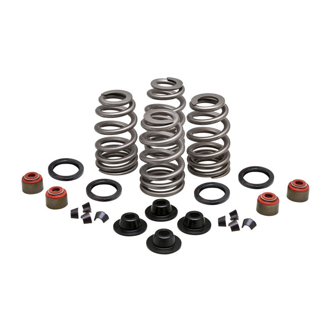 Kpmi Beehive Valve Spring Kit .630 Lift for 05-17Twin Cam; 04-20 XL; 08-12XR1200; 03-10Buell Xb