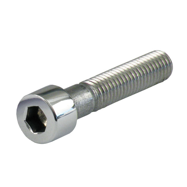 M8 X 40mm Allen Bolt, Polished Stainless