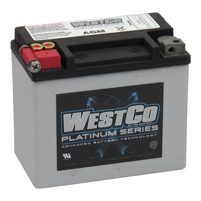 WesTCo, SeaLED Agm Battery. 12 Volt, 10Amp, 180Cca for Universal