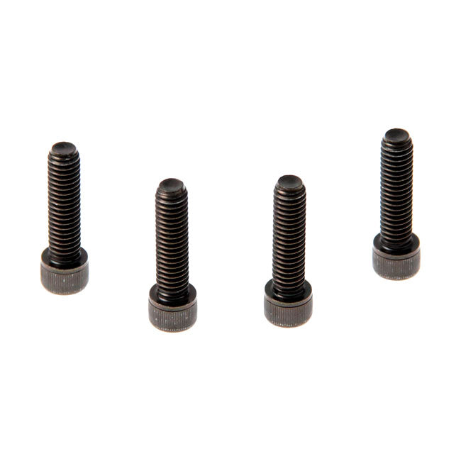 Cult-Werk Fender Screws, Black for 10-20 XL1200X/Xs Forty Eight
