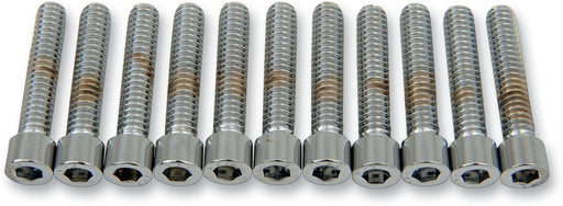 Drag Specialties Socket-Head Bolt 1/4-20X1.25 Smooth Chrome - Part #DS190538S - Hogparts UK