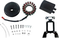 Drag Specialties Charging Kit 54A High-Output Black - Part #21121205 - Hogparts UK