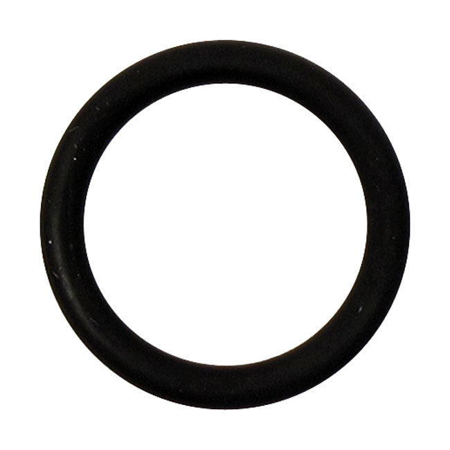 Fuel Tool, Lower O-Rings (1) for 01-20 H-D With Delphi Fuel Injection (Excl. M8, XG And V-Rod)XL