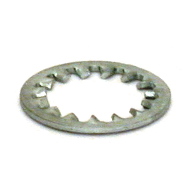 Lock washer, Swingarm Bolt for 84-99 Softail (2 Used)