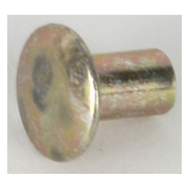 Cycle Electric Rivet