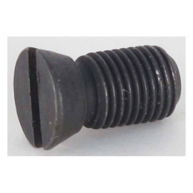 Cycle Electric Screw for 58-69 Fl; 58-81 XL (2-Brush Generators) & All Cycle Electric Generators