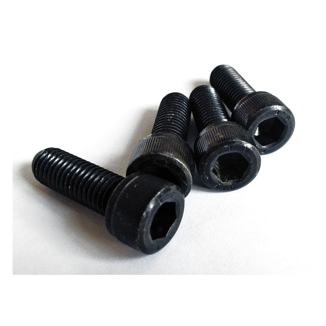 Cult-Werk Triple Trees Screws, Black for 02-11 V-Rod, Night Rod Special