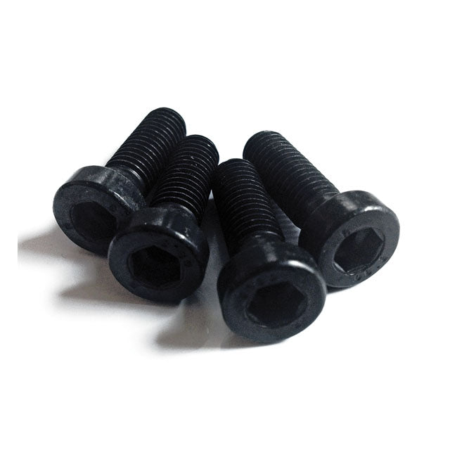 Cult-Werk Fender Bolts, Allenhead Black for 02-11 VRSCR, Night Rod Special
