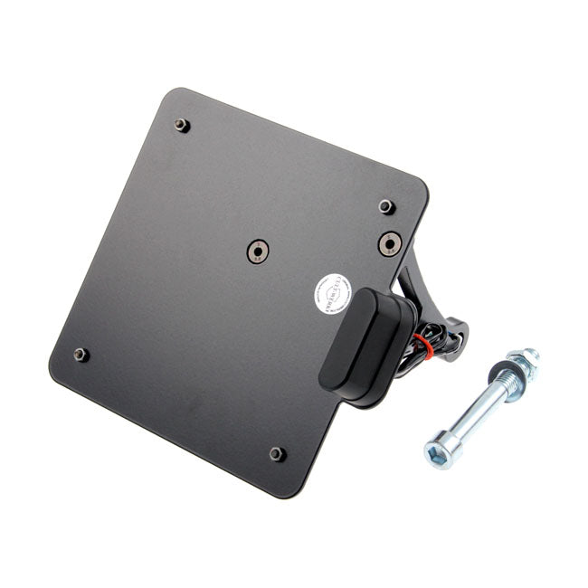 Cult-Werk Side Mount License Plate Bracket. Italy – 2002–2017 V-Rod