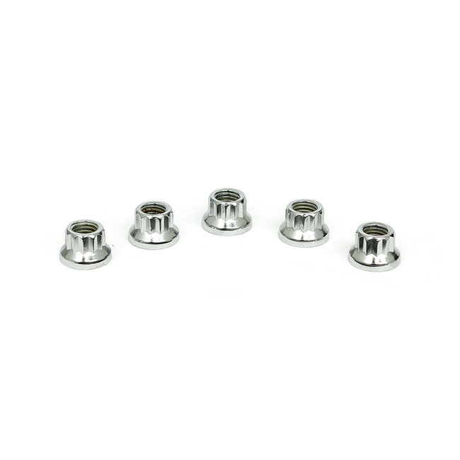 Chrome 12 Point Nut, 1/4-28 - 25 Pack