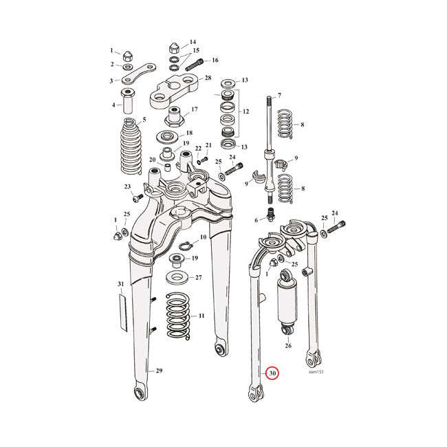 Front Leg Section, Springer Fork for 97-09 FLSTS