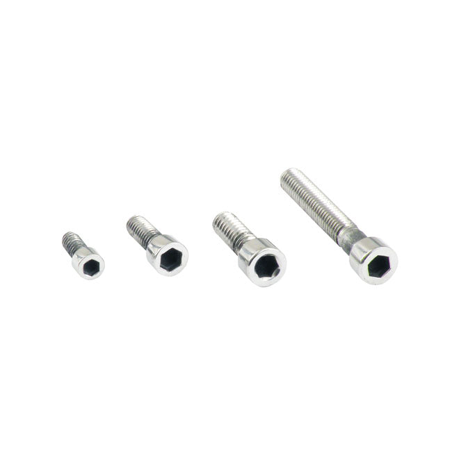 Allen Bolt, Polished Ss 10/32 X 1 1/4