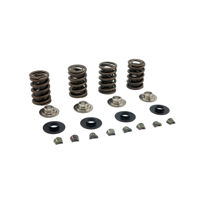 Jim's, Valve Spring Kit. Titanium .600" Lift for 84-99 Evo Big Twin; 99-04 Twin Cam; 86-03 XL