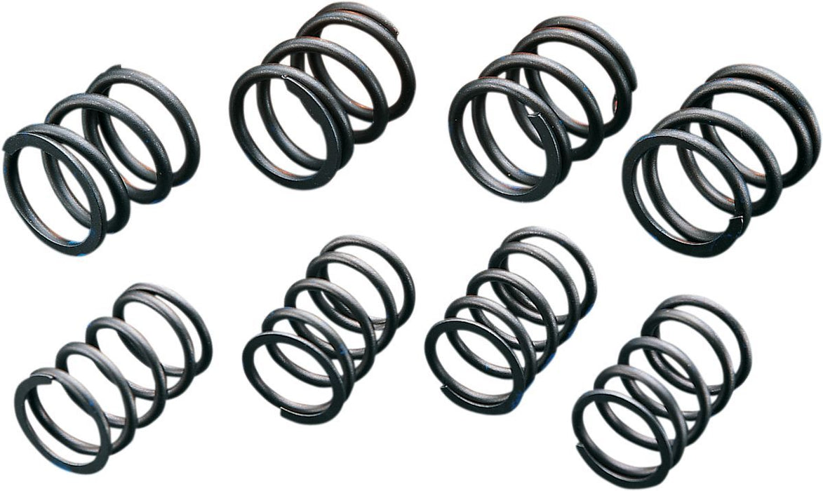 Andrews High-Lift Valve Springs #272110