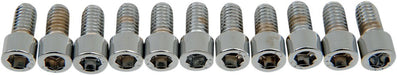 Drag Specialties Socket-Head Bolt 5/16-18X0.625 Smooth Chrome - Part #DS190543S - Hogparts UK