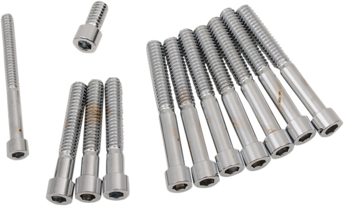 Chrome Socket-Head Cam/Primary Cover Bolt Set - Part #DS190391S - Hogparts UK